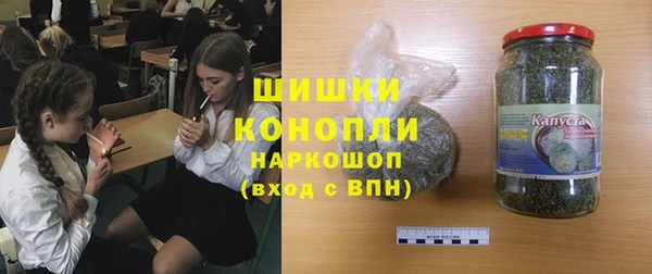 винт Инсар