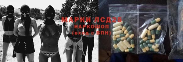 прущие крисы Инта