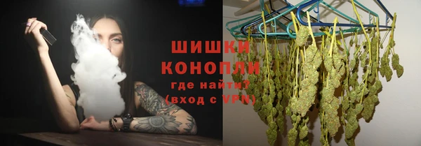 прущие крисы Инта
