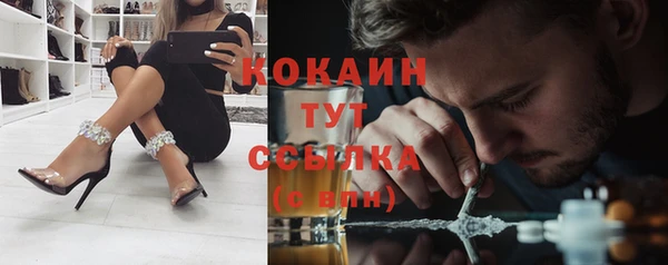винт Инсар