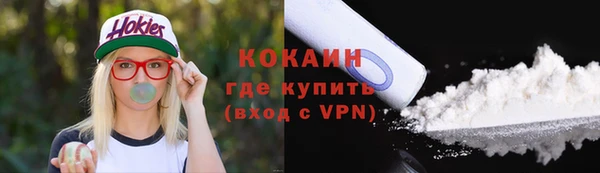 винт Инсар