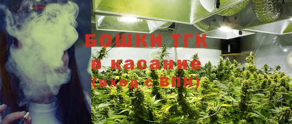 прущие крисы Инта