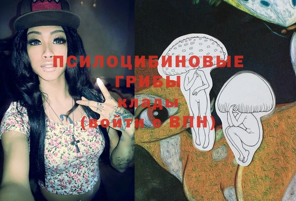 винт Инсар