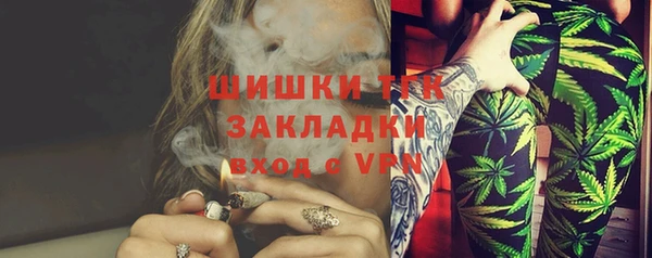винт Инсар