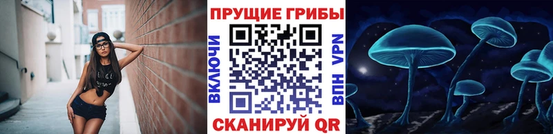Купить где  Дальнегорск  Галлюциногенные грибы Magic Shrooms 